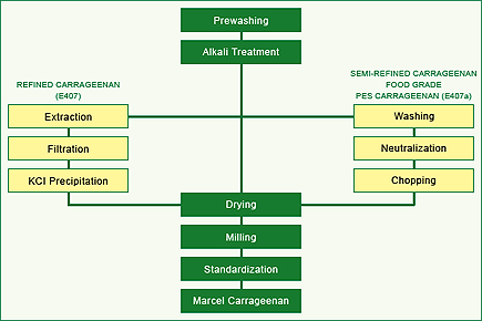 flow chart